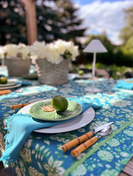 Wanting to recreate this beautiful tropical outdoor tablescape? You can find all of the products linked below!

#LTKunder50 #LTKFind #LTKunder100