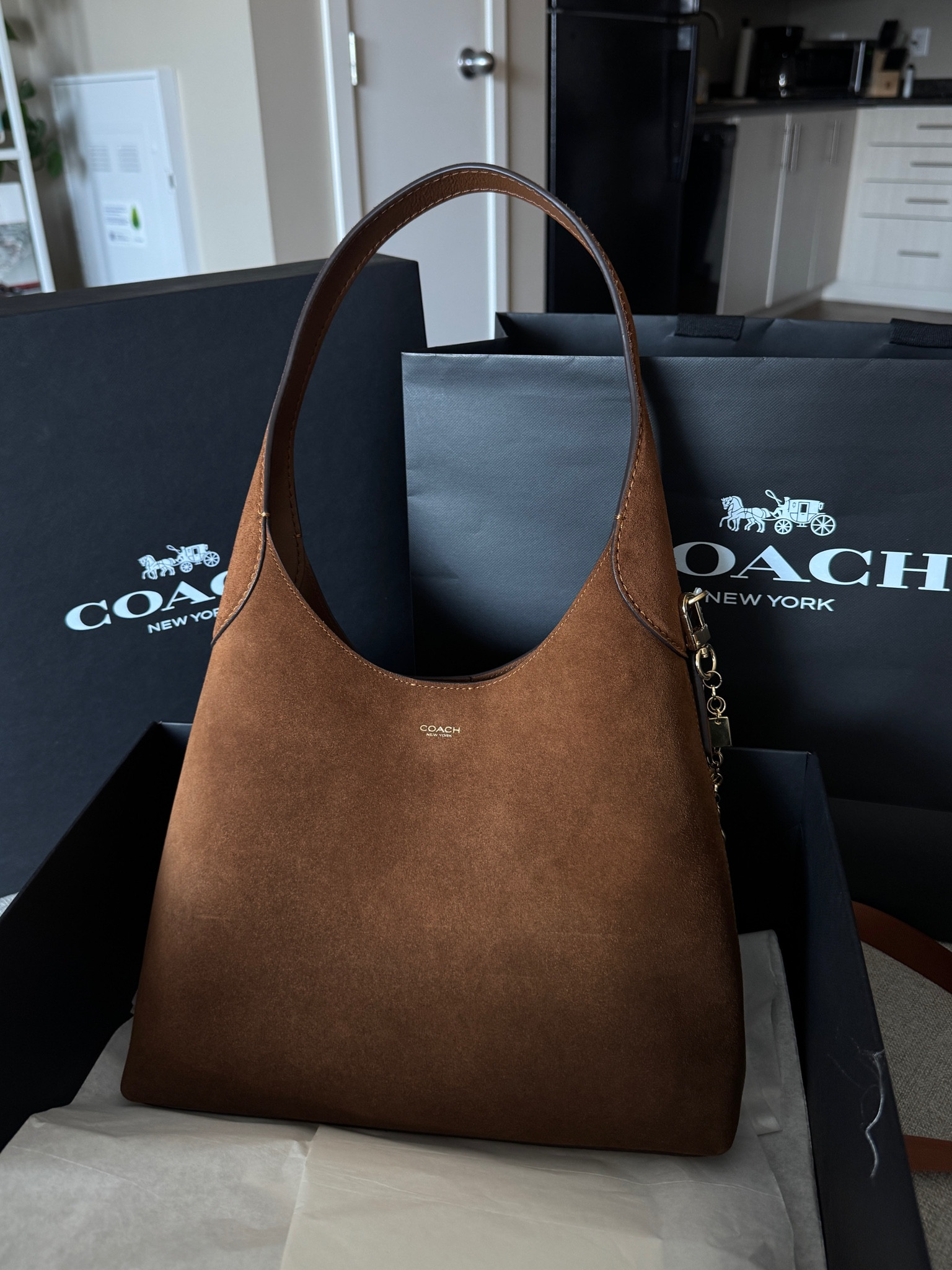 The perfect fall bag  👜🤌🏼🤎🍂

#LTKStyleTip #LTKSeasonal #LTKItBag