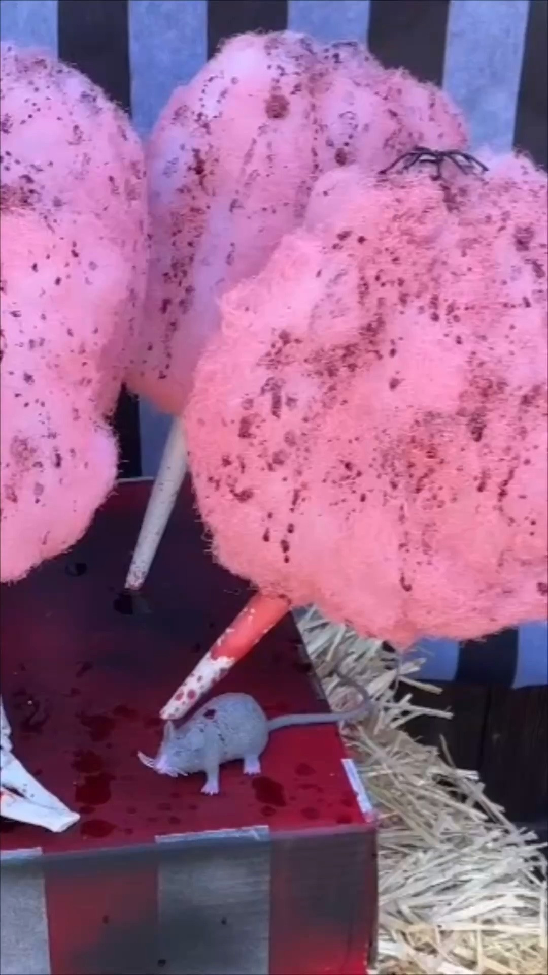 Step right up to the Haunted Carn-Evil — rotten cotton candy, straight from your worst circus nightmare. 🤡🩸
 
Spray polyfill fiber pink, then splatter it in fake blood. Mount it on a wood dowel inside a paper cone, and finish with a spider for extra creep factor!
 
Polyfill fiber, now the bloodiest candy at the carnival — costs almost nothing and looks like it belongs in a real haunted circus.

#LTKSeasonal #LTKHome