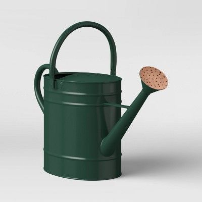 Large Steel Iron Watering Can Green - Smith & Hawken™ | Target