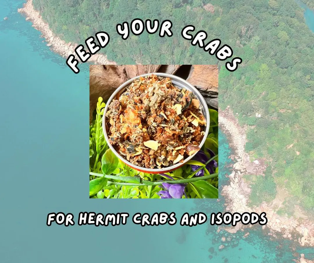 Bigfoot's Christmas Catch with lake trout and steamed greens. Balanced meal for hermit crabs and ... | Etsy (US)