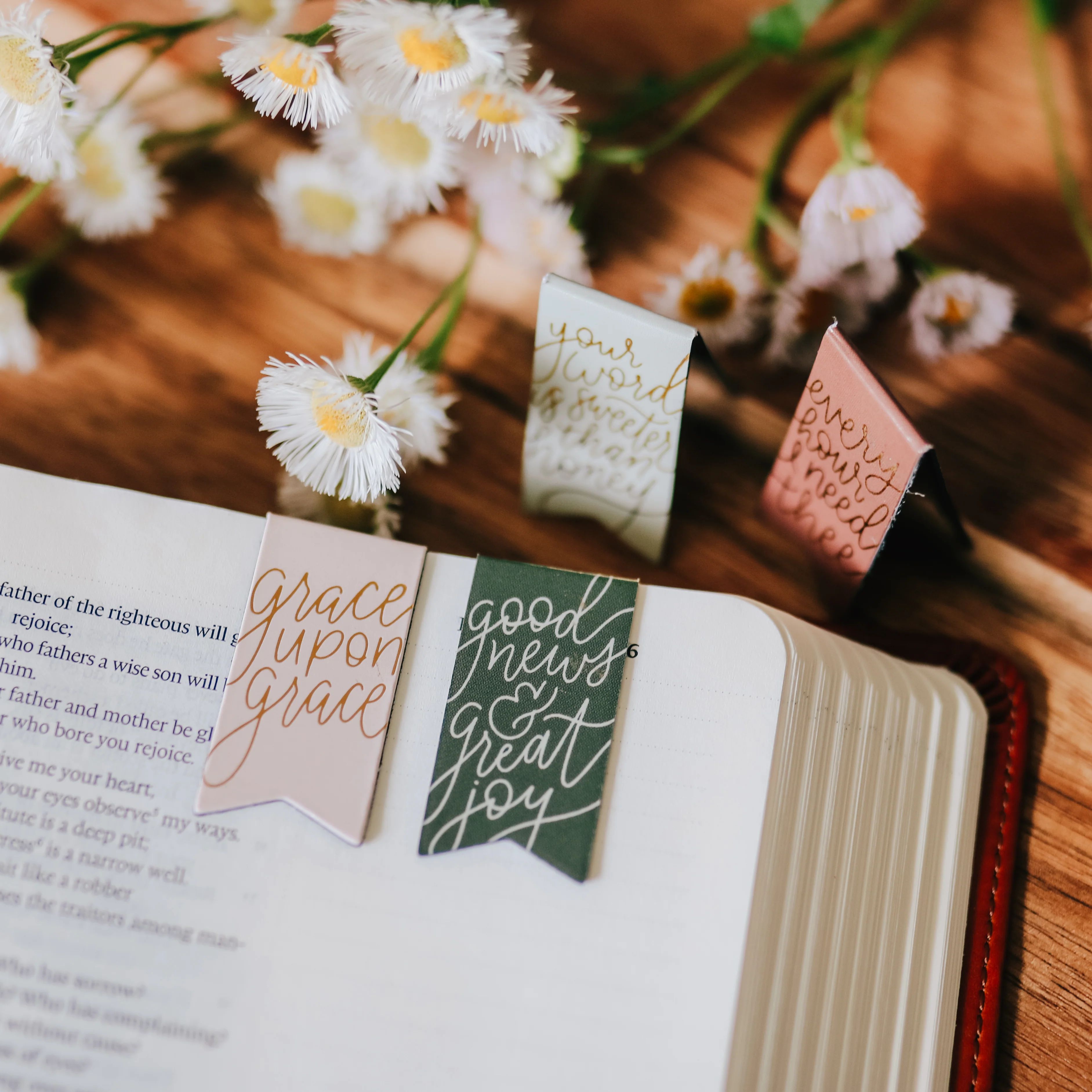 Words of Life Magnetic Bookmark Set | The Daily Grace Co.