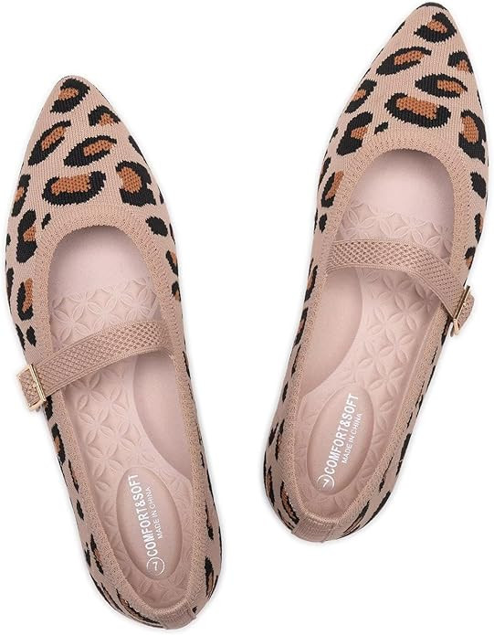 Frank Mully Women's Mesh Flats Mary Jane Shoes Pointed Toe Lightweight with Adjustable Instep Str... | Amazon (CA)