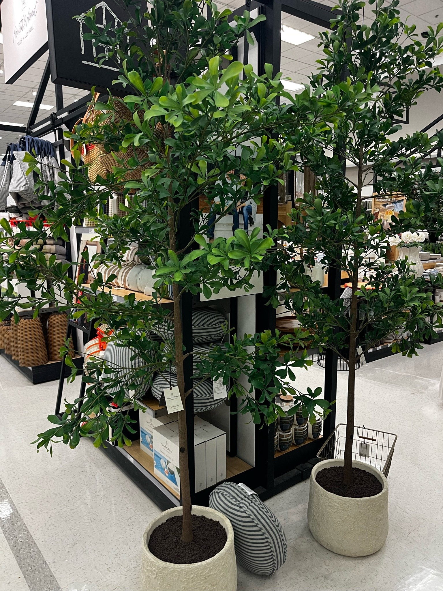 Gorgeous trees and selling fast!

#LTKHome
