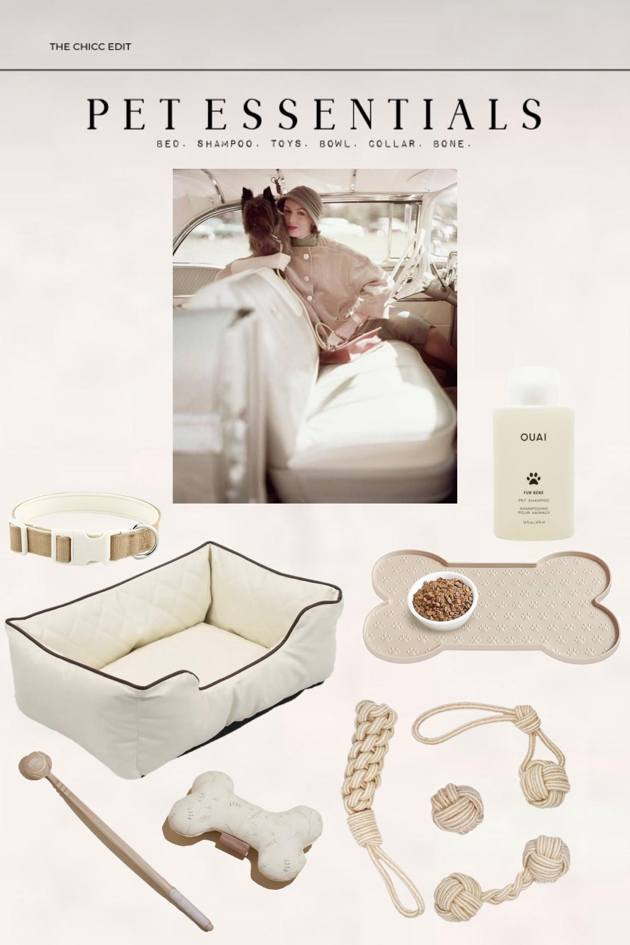 Pet Essentials 🤎

#dog #pet #amazon #dogbed #dogbowl

#LTKOver40 #LTKmomlife #LTKdayinmylife