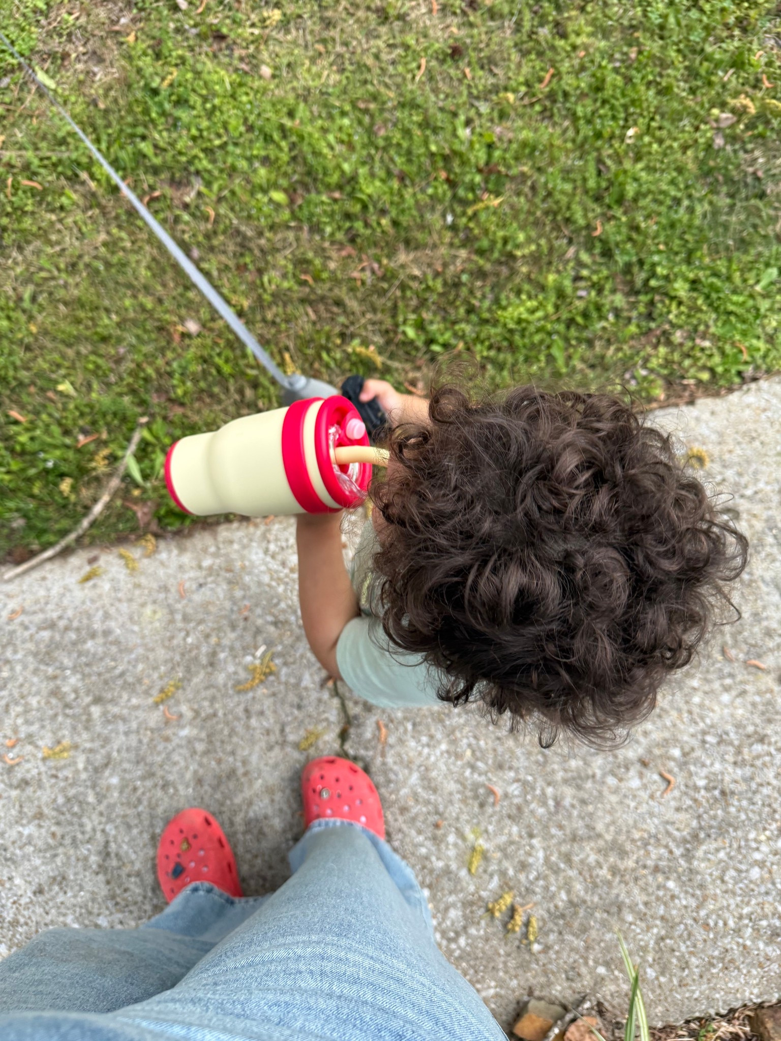 Toddler stainless steel straw water bottle

#LTKmomlife #LTKBaby #LTKKids