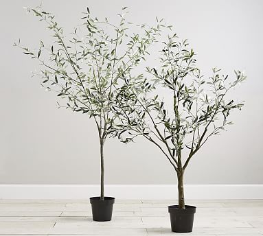 Faux Potted Olive Trees | Pottery Barn (US)