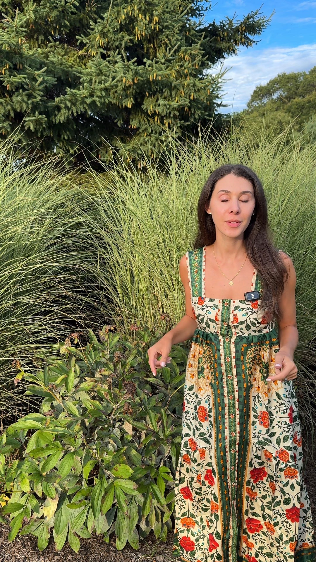 I’m obsessed with this garden dress and it’s on sale!!!! 

#LTKSaleAlert