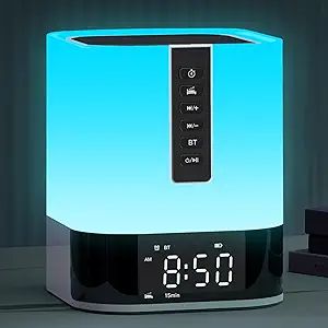 Night Light Bluetooth Speaker, Bedside Lamp with White Noise Sound Machine, 16 Soothing Sound, Al... | Amazon (US)
