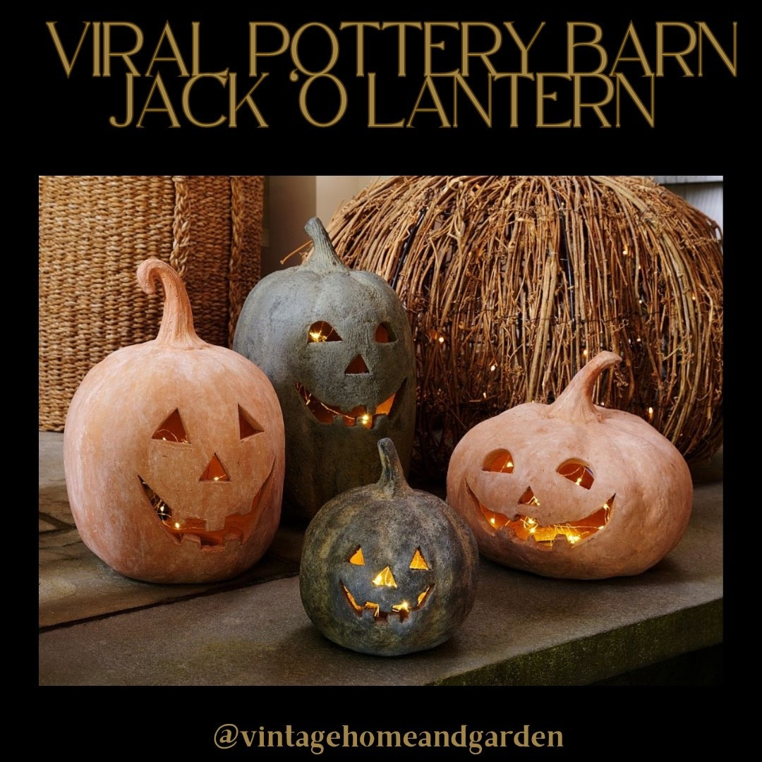 Viral Pottery Barn Jack O Lanterns are back in stock🤍.   If you’re interested in of these adorable pumpkins for your Halloween Decor NOW is the time to snag one!
#potterybarnpumpkins
#jackolanterns
#HalloweenDecor
#Spookyseason
#frontporchdecor

#LTKHome #LTKSeasonal