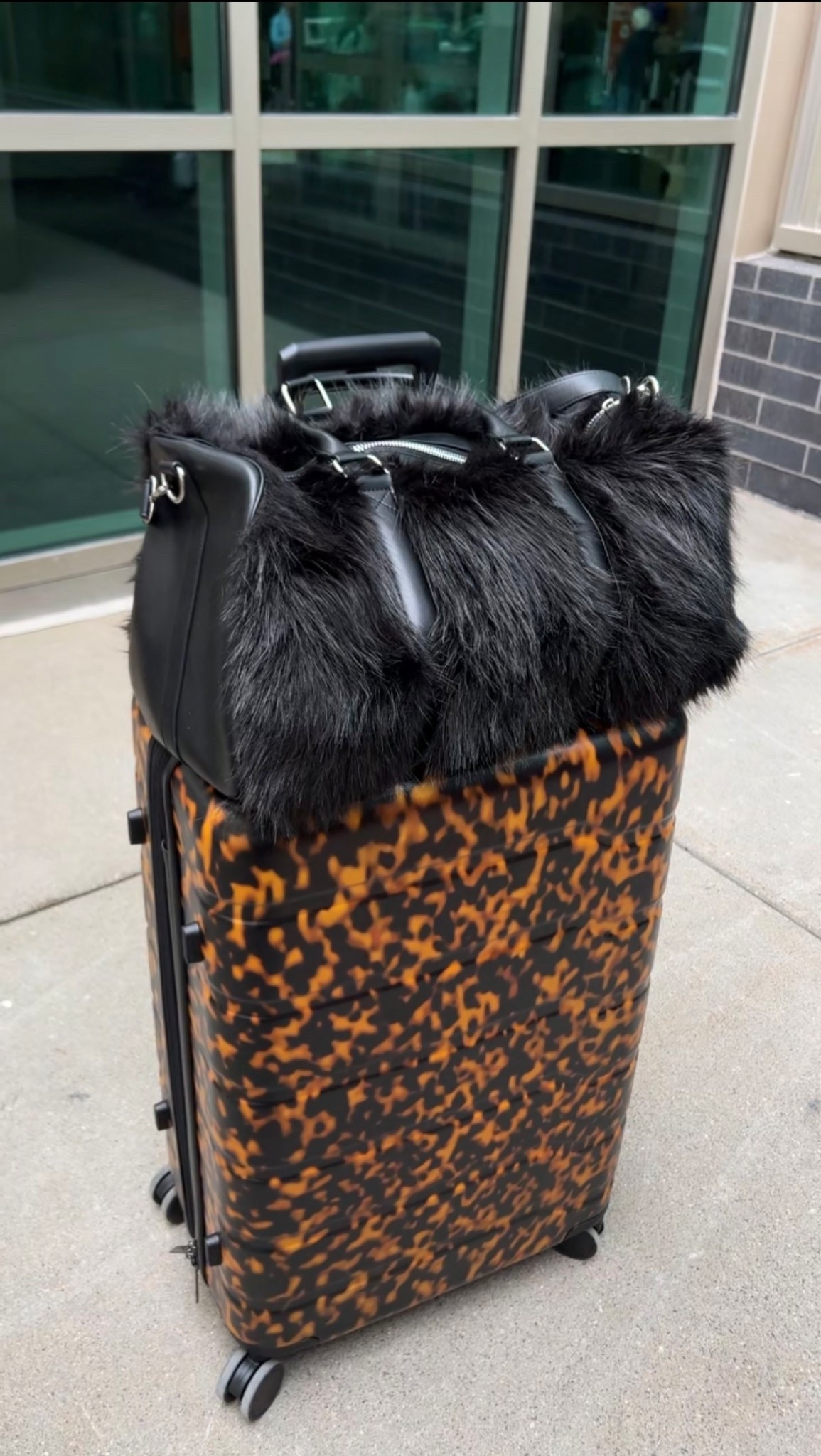 My luggage + carryon. 🖤

#LTKBeauty #LTKdayinmylife