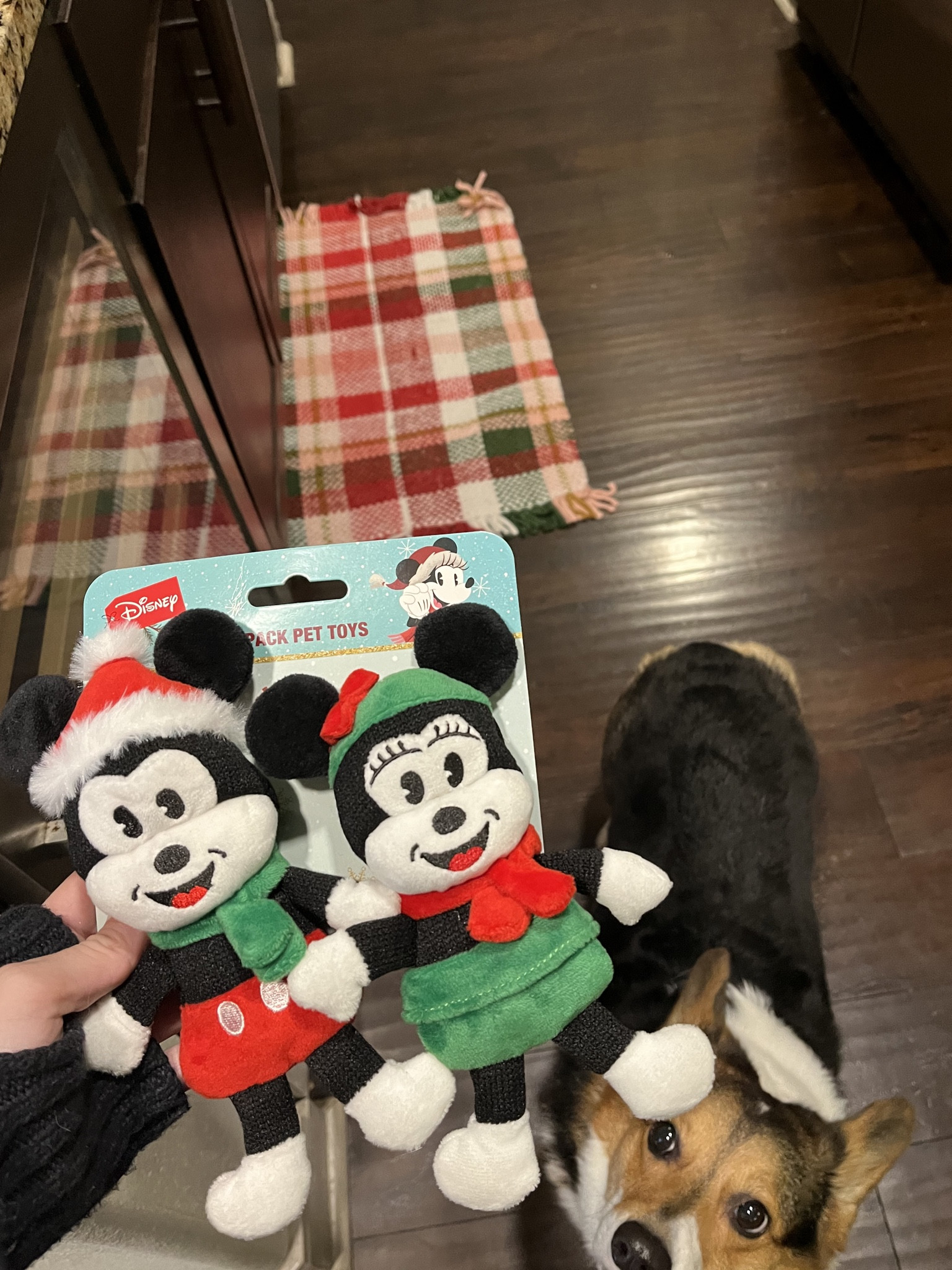 Look at our cute new Christmas Mickey and Minnie toy❤️

#LTKGiftGuide #LTKHoliday #LTKSeasonal