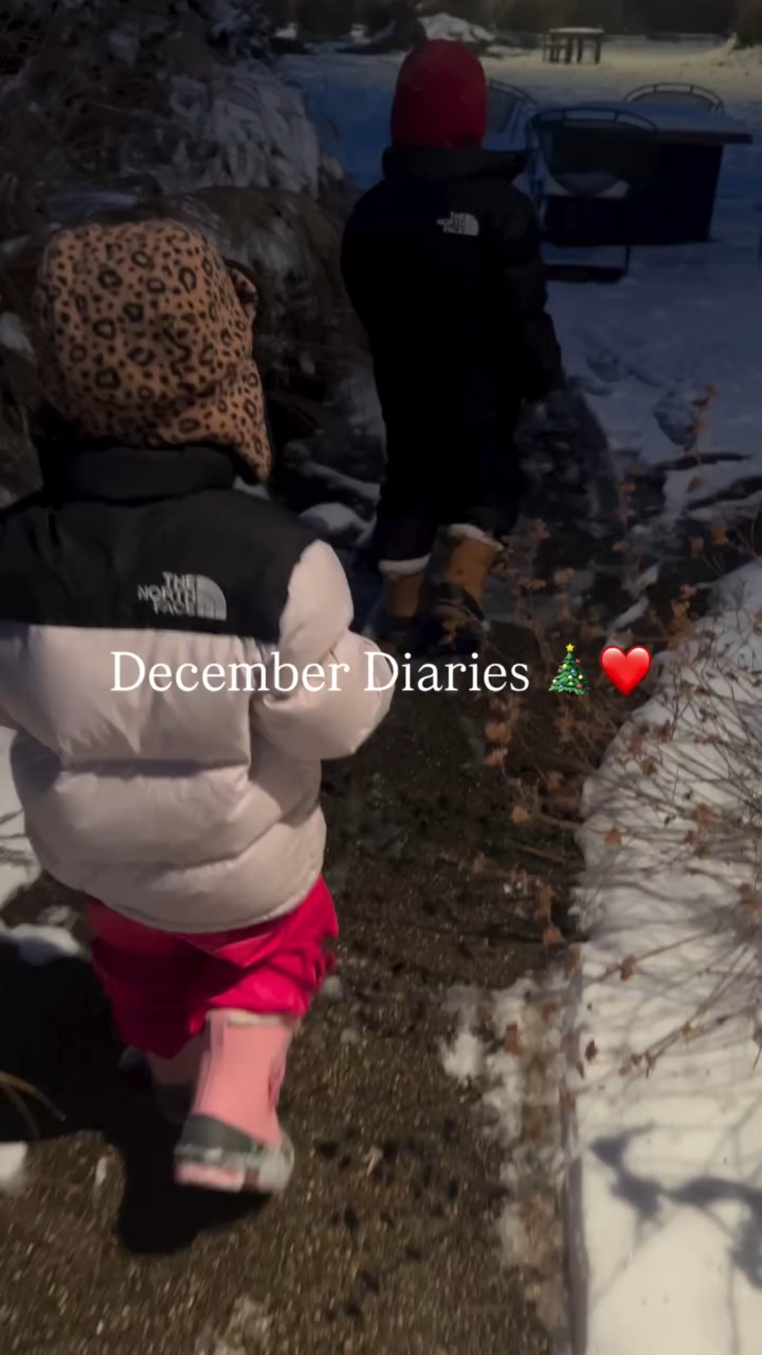 December Diaries 🎄❤️

#brelegal #shopltk #lifewithtoddlers #dump #momlife #ltkkids #christmas