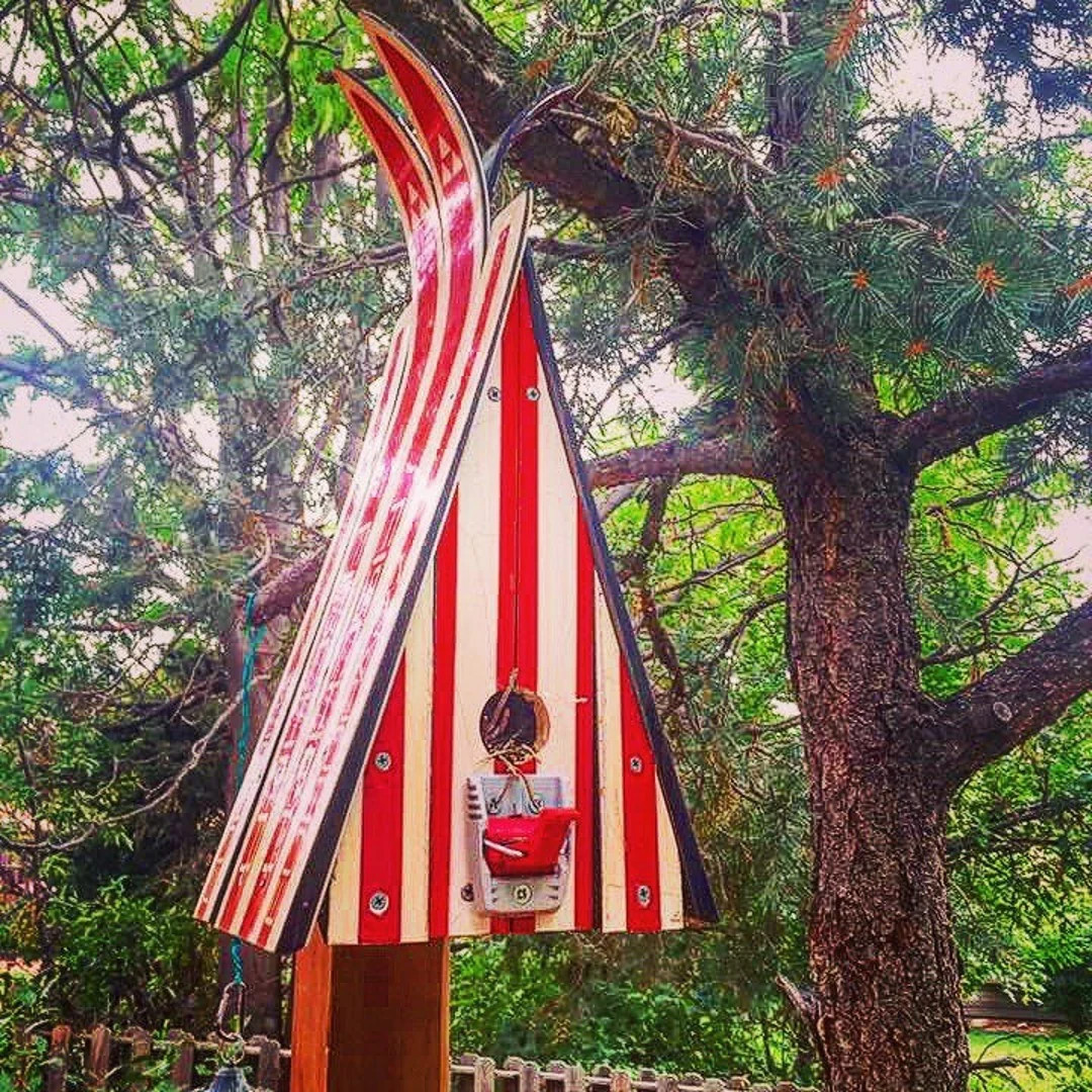 Repurposed Ski Chalet Birdhouse: Outdoor Decor - Etsy | Etsy (US)