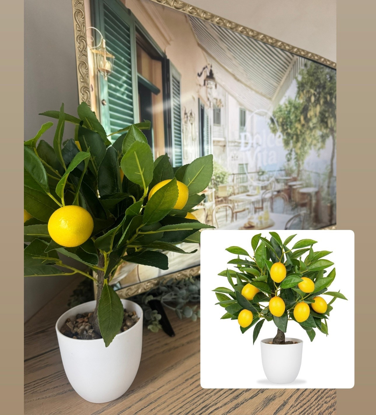 Lemon Tree🍋
TV Gold Vintage Trim 

#LTKdayinmylife #LTKSeasonal #LTKHome