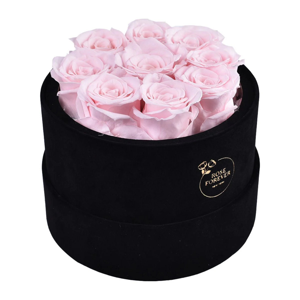 9 Light Pink Roses - Black Round Velvet Box | Rose Forever 