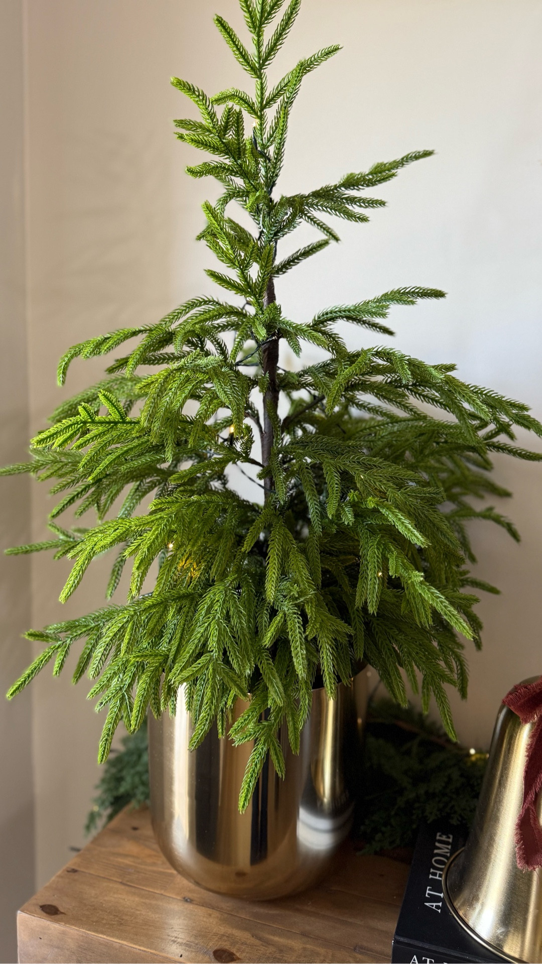 Brass Planter + 3’ Norfolk Pine

#LTKSeasonal #LTKHome #LTKHoliday