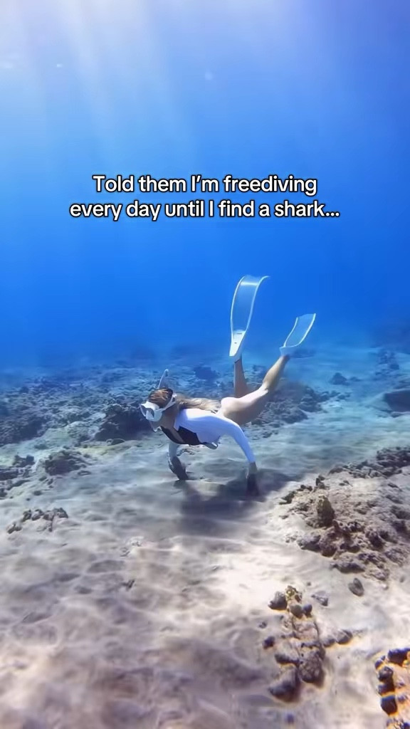 There’s such a big misconception about sharks 

#LTKSwim #LTKActive #LTKTravel