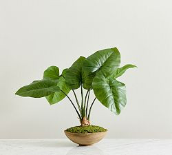 Faux Composed Elephant Ear Plant | Pottery Barn (US)