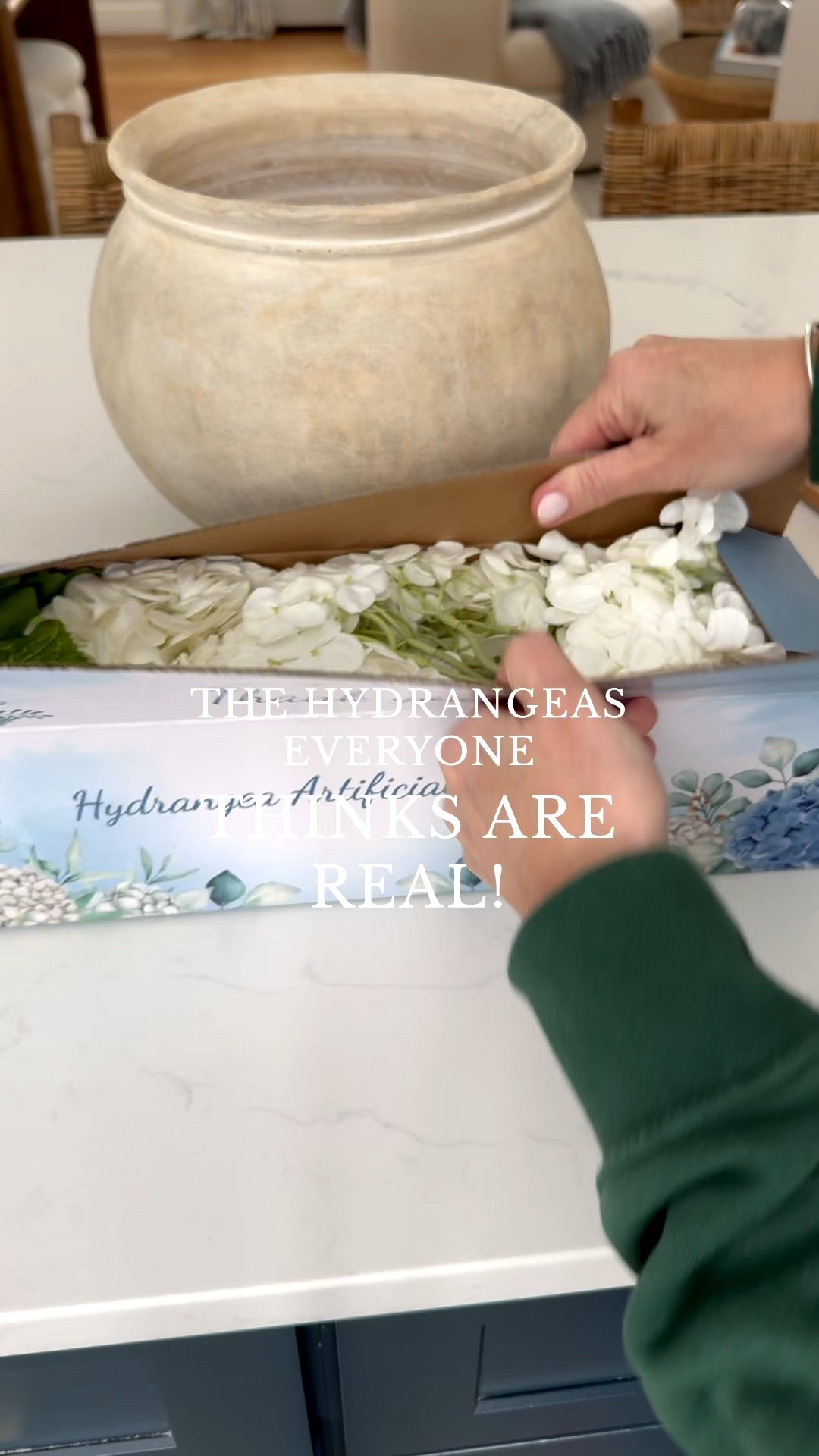 Coastal living room styled with neutral throw pillows, textured ivory rug, faux florals, and layered sofas for a relaxed high end coastal look.

coastal living room decor,  neutral sofa styling, coffee table florals, light coastal interiors, sherricalnanhome

#LTKSeasonal #LTKHome