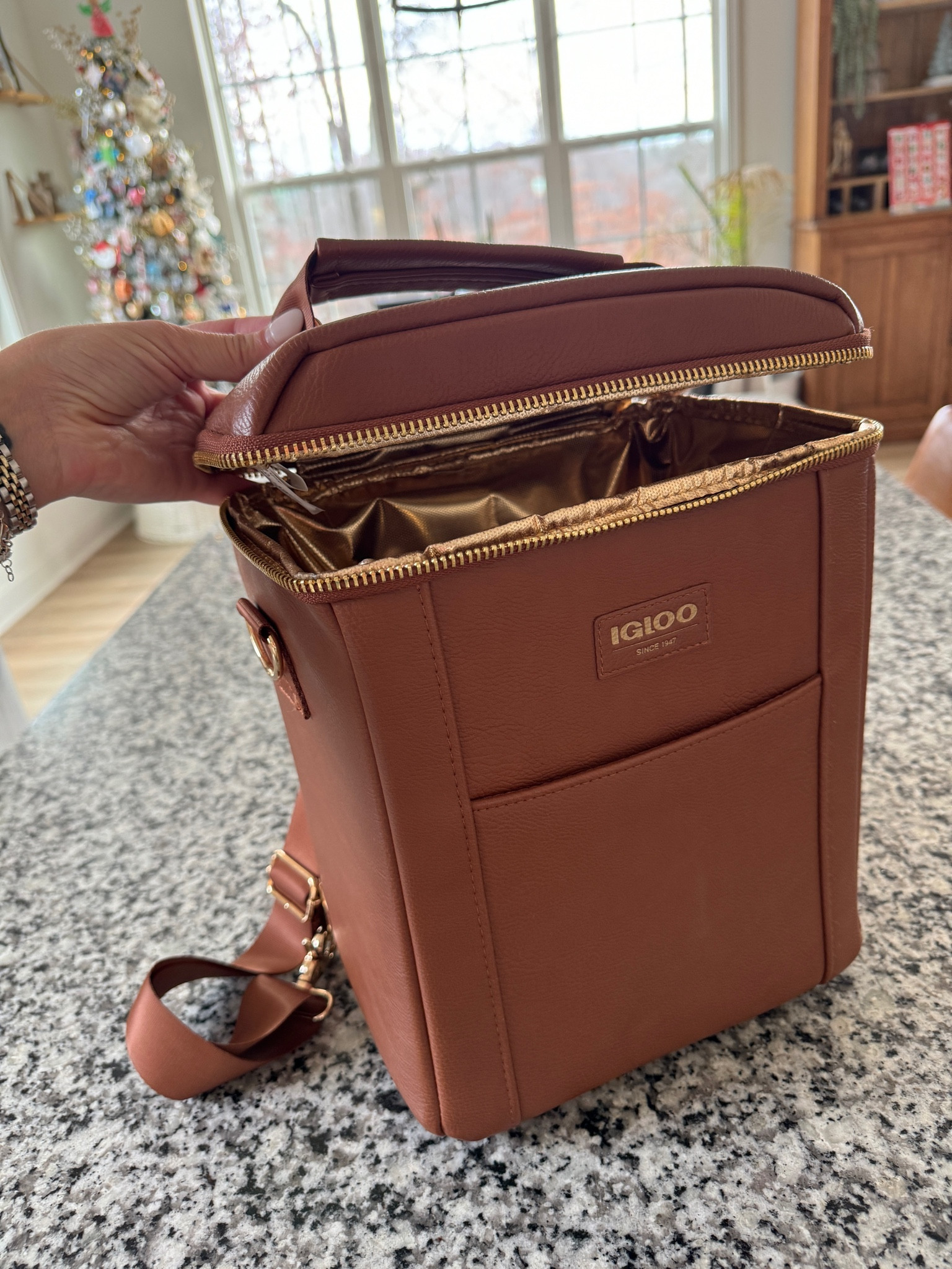 One of the most used items in our home is this igloo cooler it serious goes so many places with us! 

#LTKSeasonal #LTKhome #LTKfindsunder50