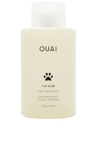 OUAI Fur Bebe Pet Shampoo in NA. | Revolve Clothing (Global)