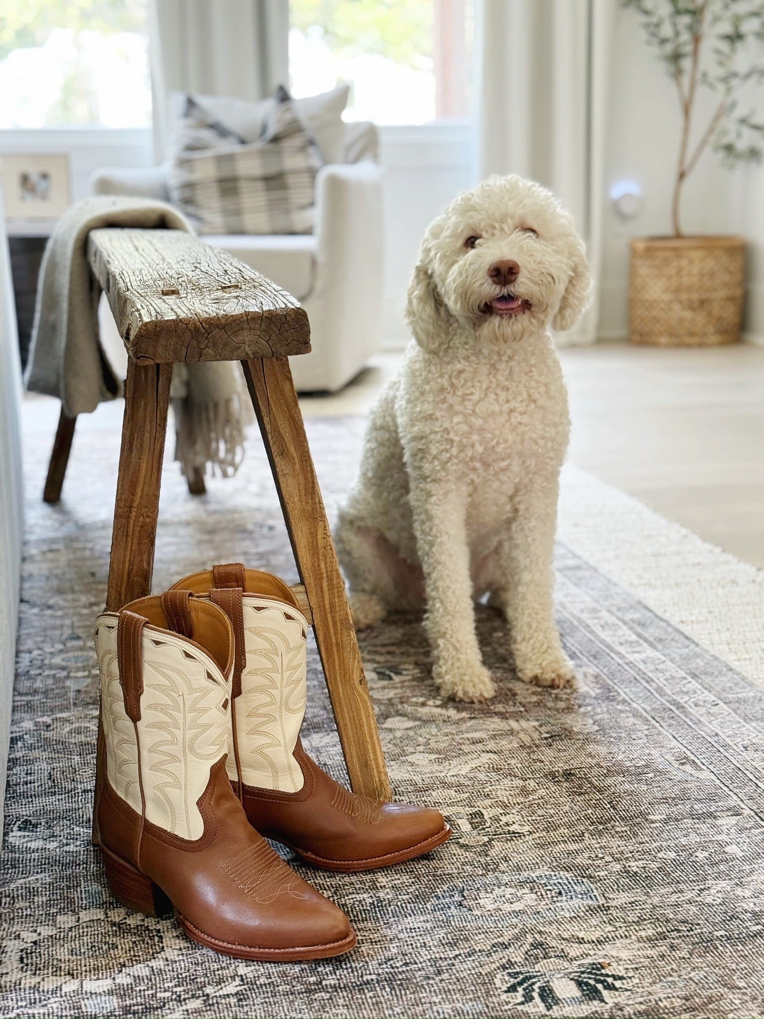 🐾 This space proves that great design can be both beautiful and livable—stylish enough to admire, cozy enough for your pup to love.

Do you want to bring our dreamy Modern Classic style interior design into your own home? 🏡 You’re in luck! Reserve our Online Interior Design packages today -> https://porcheandco.com/edesign ✨ We can’t wait to work with you & design your home with #porcheandco

#porcheandco #modernclassicstyle #interiordecorinspo #homewithpets #rusticchicdecor #modernclassicinteriors



#LTKmomlife #LTKHome #LTKdayinmylife