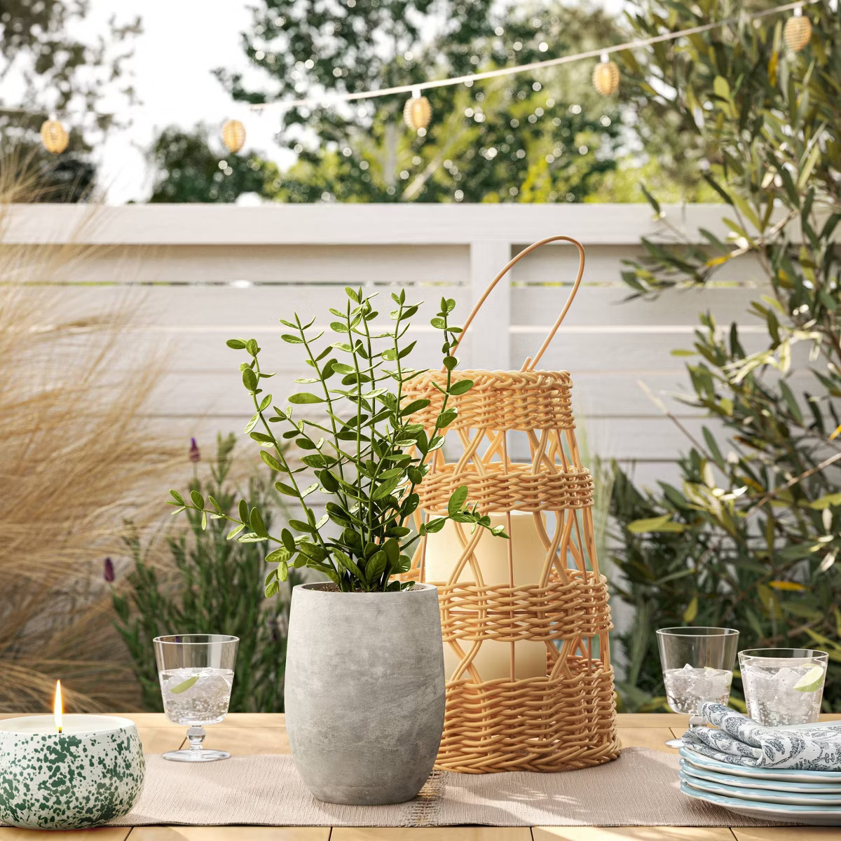 14" Privet Artificial Plant - Threshold™ designed with Studio McGee: No-Maintenance Greenery, I... | Target