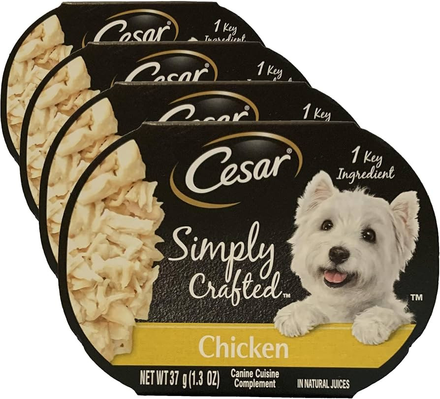 Cesar Wet Dog Food Simply Crafted Adult Wet Dog Food Cuisine Complement, Chicken, 1.3 Oz. Tub (Pa... | Amazon (US)