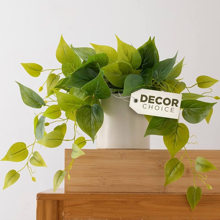 Faux Plants Indoor, Artificial Plants for Home Decor Indoor, Pothos Small Fake Plants - Fake Plan... | Amazon (US)