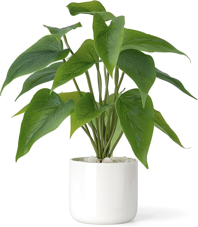 Mkono Fake Plants in Ceramic Pot, 11" Potted Artificial Plants for Home Decor Indoor Faux Green L... | Amazon (US)