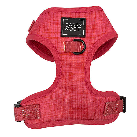 Sassy Woof Merlot Dog Harness | PetSmart