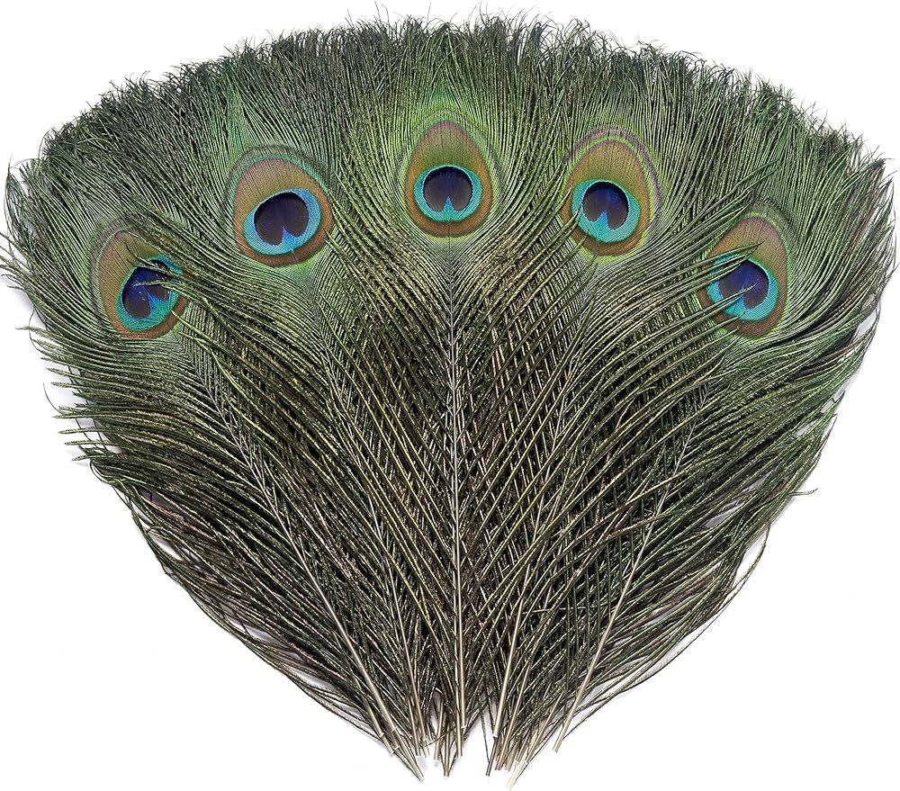 24 PCS Real Natural Peacock Eye Feathers 10-12 inch for DIY Craft, Wedding and Holiday Decoration... | Amazon (US)