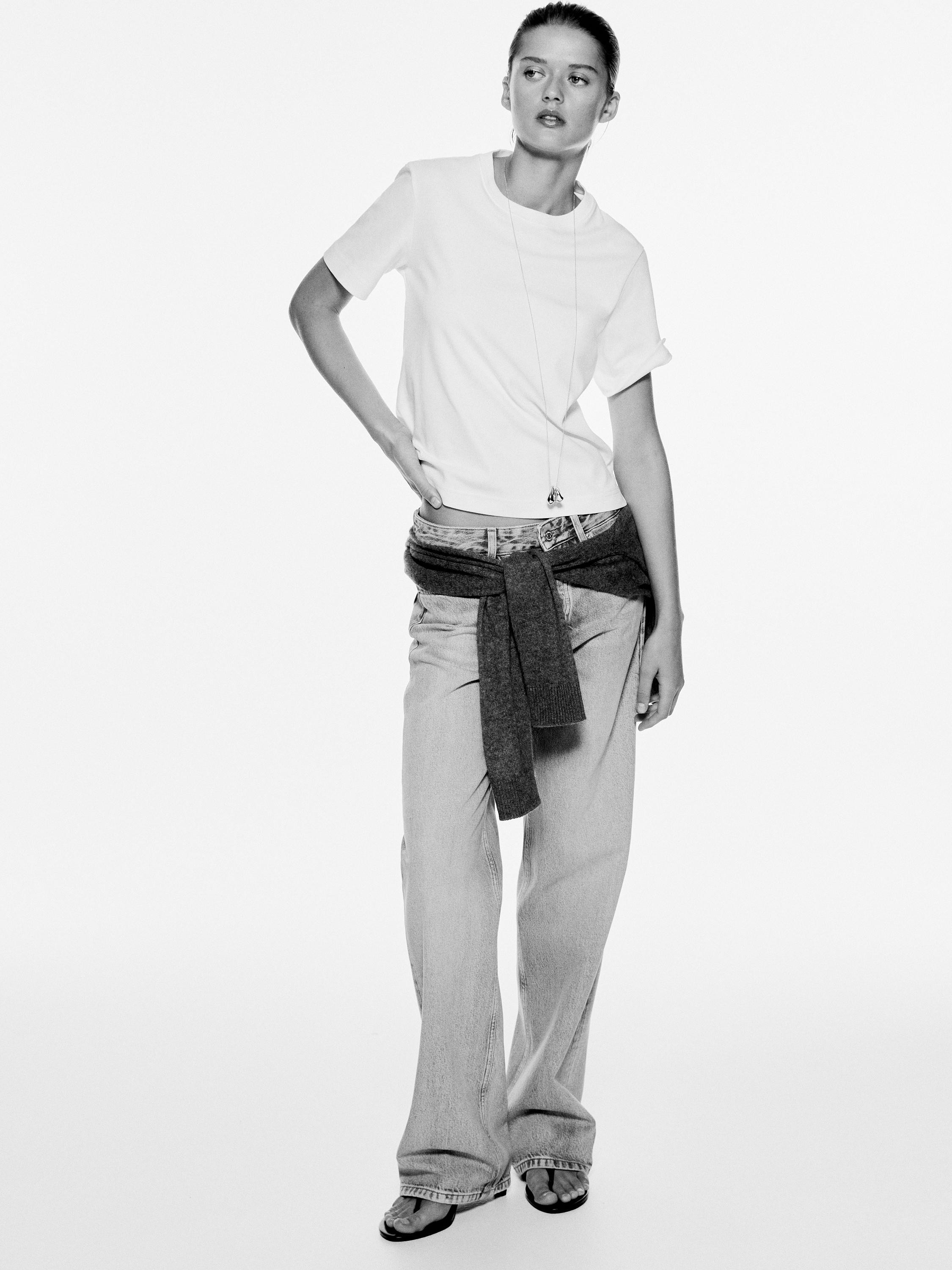 100% cotton short sleeve T-shirt | Massimo Dutti US