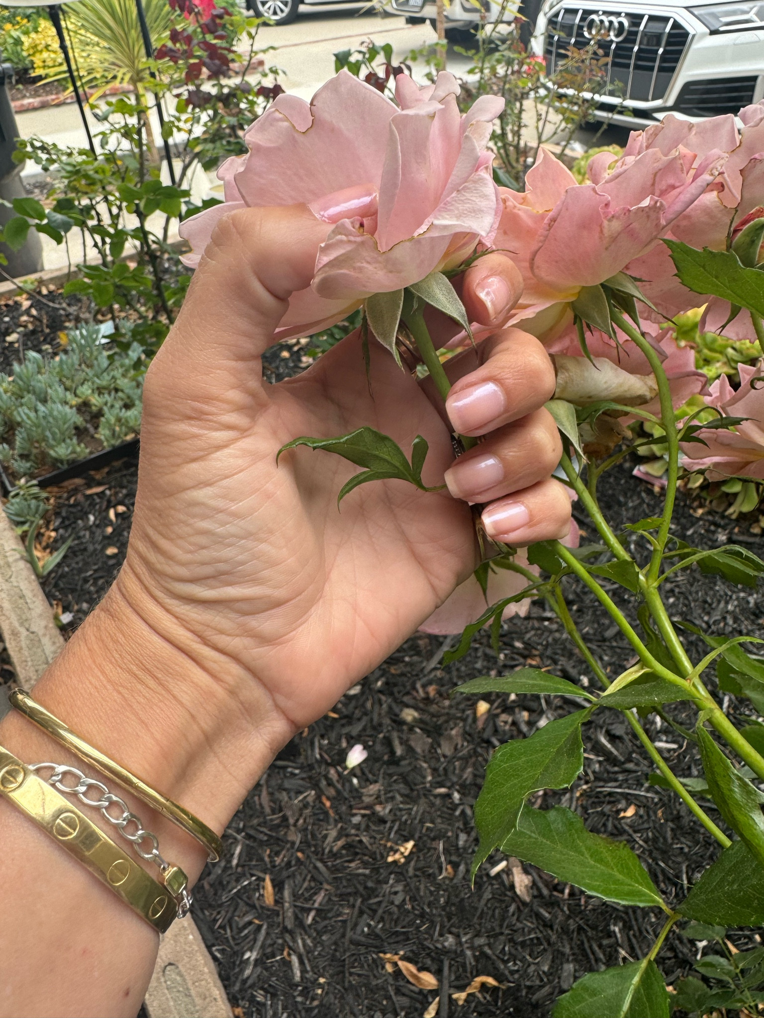 Favorite combo as of late. Active formulas in Brighten and Glow💅🏻 Love that these formulas strengthen and protect as well! 

#LTKFindsUnder50 #LTKBeauty #LTKStyleTip