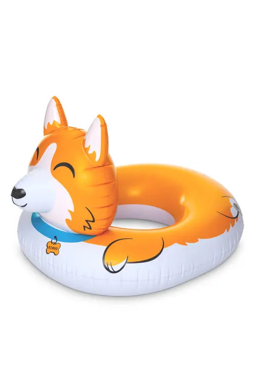 bigmouth inc. Corgi Pool Float in Multi at Nordstrom | Nordstrom