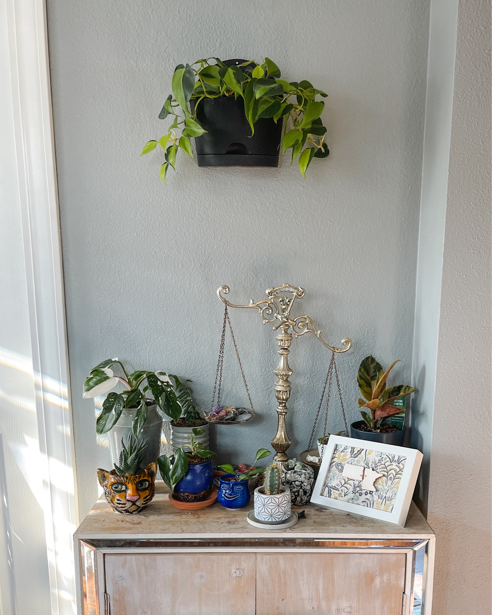 A discombobulated plant setup (rearranging and watering day) but the light looked too good not to share. 

Also the wall planter is on sale for Target Circle Week and you can get 2 for $7! 

#TargetCircle #LTKxTarget #planter 

#LTKfindsunder50 #LTKhome #LTKxTarget