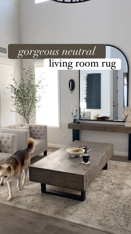 Gorgeous neutral rug, perfect as a living room rug or bedroom rug! On sale for 29% off now!

#overstock #rug #arearug #beigerug #livingroomrug #bedroomrug

#LTKFind #LTKsalealert #LTKhome