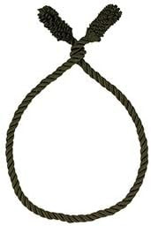 Haute Decor Decorative Twist Ties, 6 Pack, 16 inches (Olive Green) | Amazon (US)