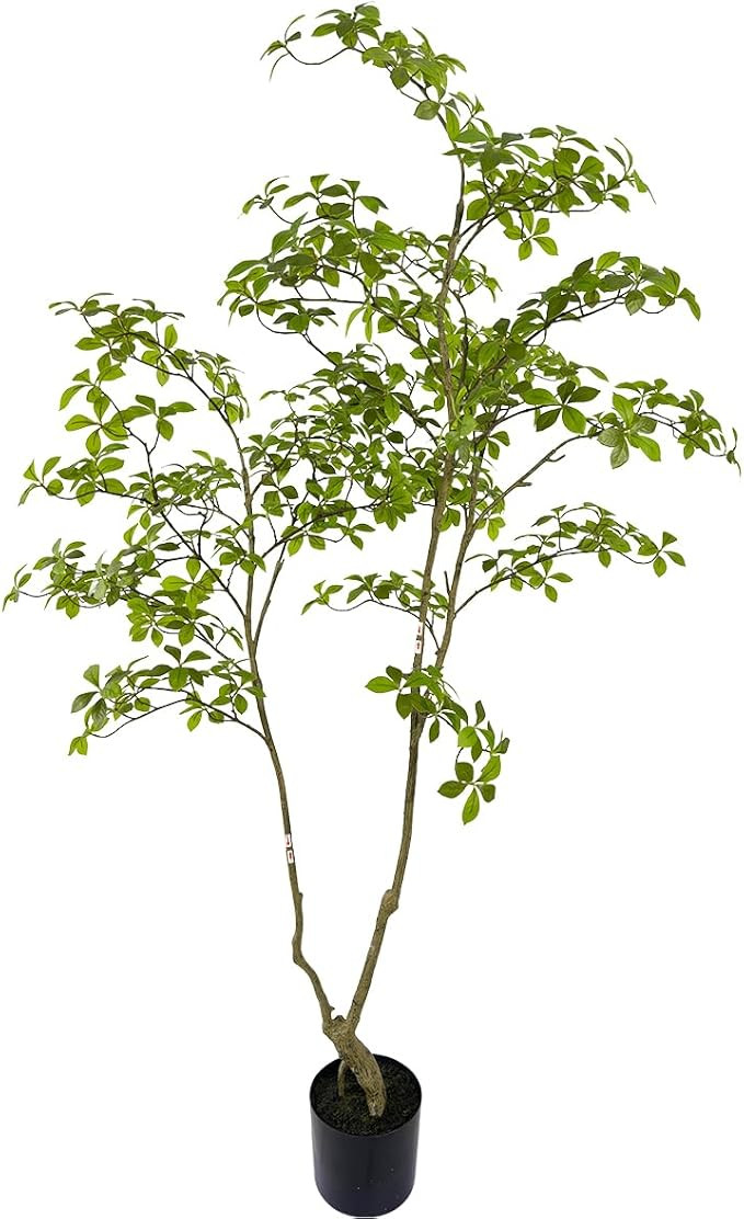 Artificial Gardenia Tree,6ft（1pack） Tall Fake Plants Artificial Mahonia fortunei Plants for I... | Amazon (US)