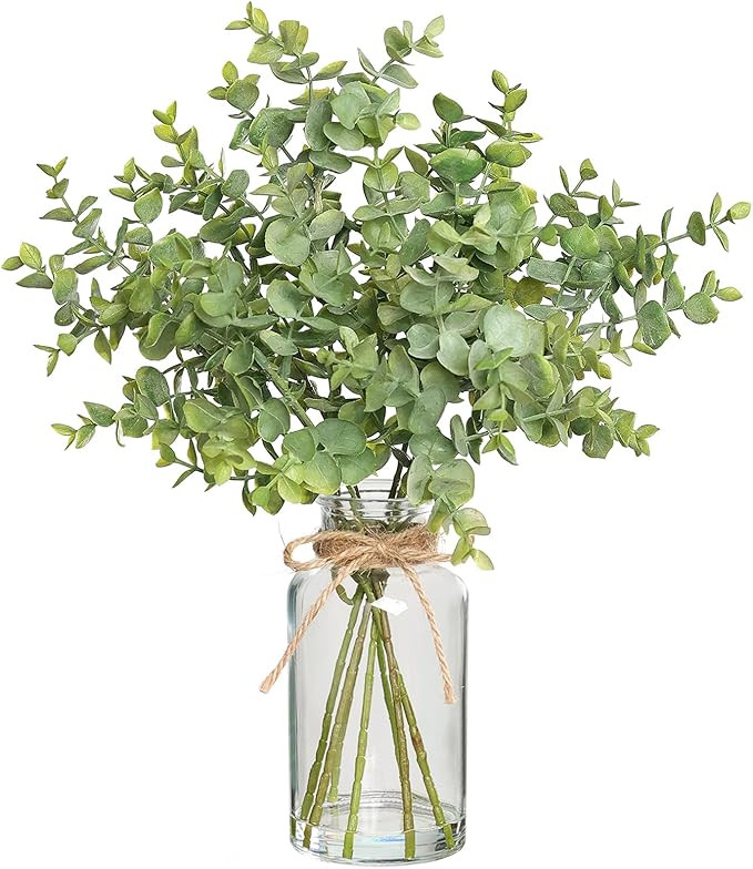 Zheart Fake Eucalyptus Stems in Glass Vase with Faux Water,14" Artificial Plants Eucalyptus Leave... | Amazon (US)