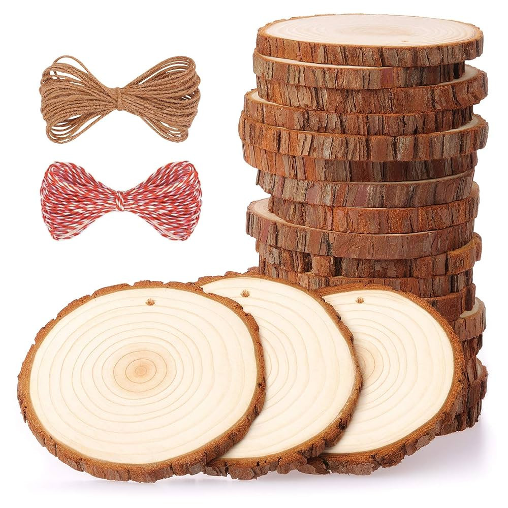 Fuyit Natural Wood Slices 20 Pcs 3.5-4 Inches Craft Wood Kit Unfinished Predrilled with Hole Wood... | Amazon (US)
