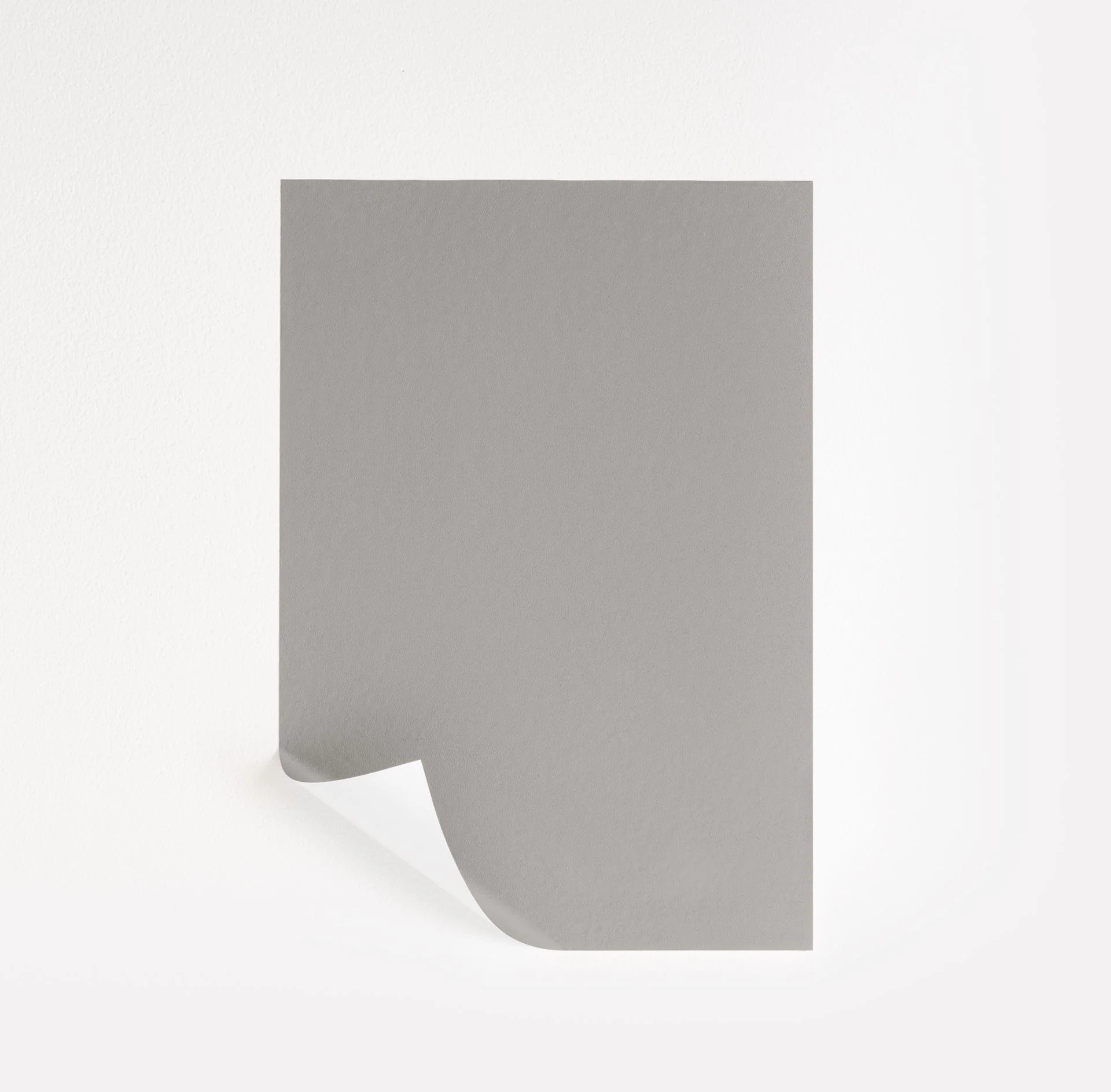 Stone Harbor  Paint Sample | Samplize