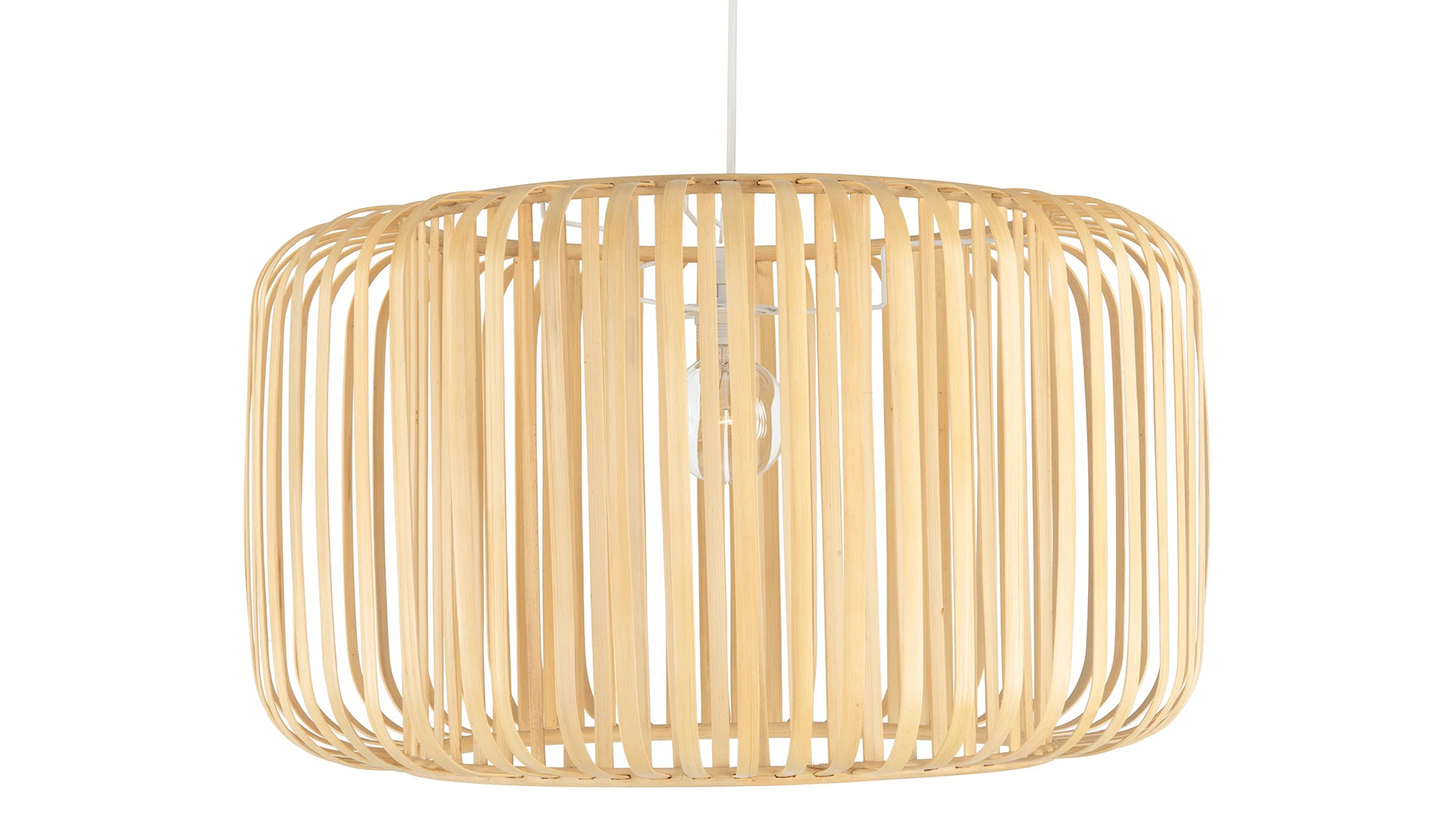 Richason 1 - Light Single Drum Pendant | Wayfair Professional
