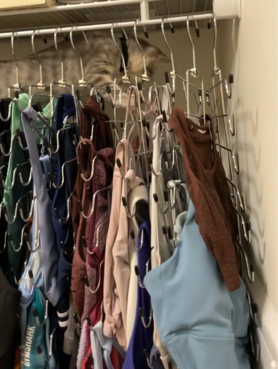 use these to organize all my sports bras, 10/10


#LTKbeauty #LTKstyletip #LTKhome