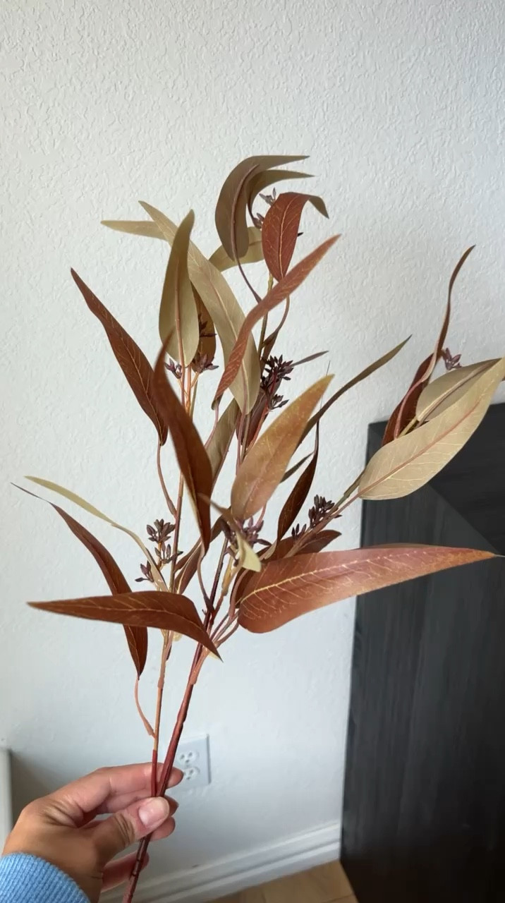 Michaels fall stems // under $8!

fall stems, fall home decor, fall home finds, fall favorites, fall deals, Michaels seasonal decor, michaels fall decor 

#LTKHome #LTKSeasonal #LTKFindsUnder50