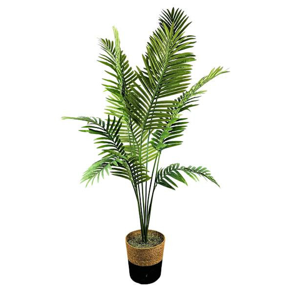 Palm Plant in Decorative Basket, 6'








	
		
		
			
				4.9
			
			
				(
				9
				)
			
		
... | At Home