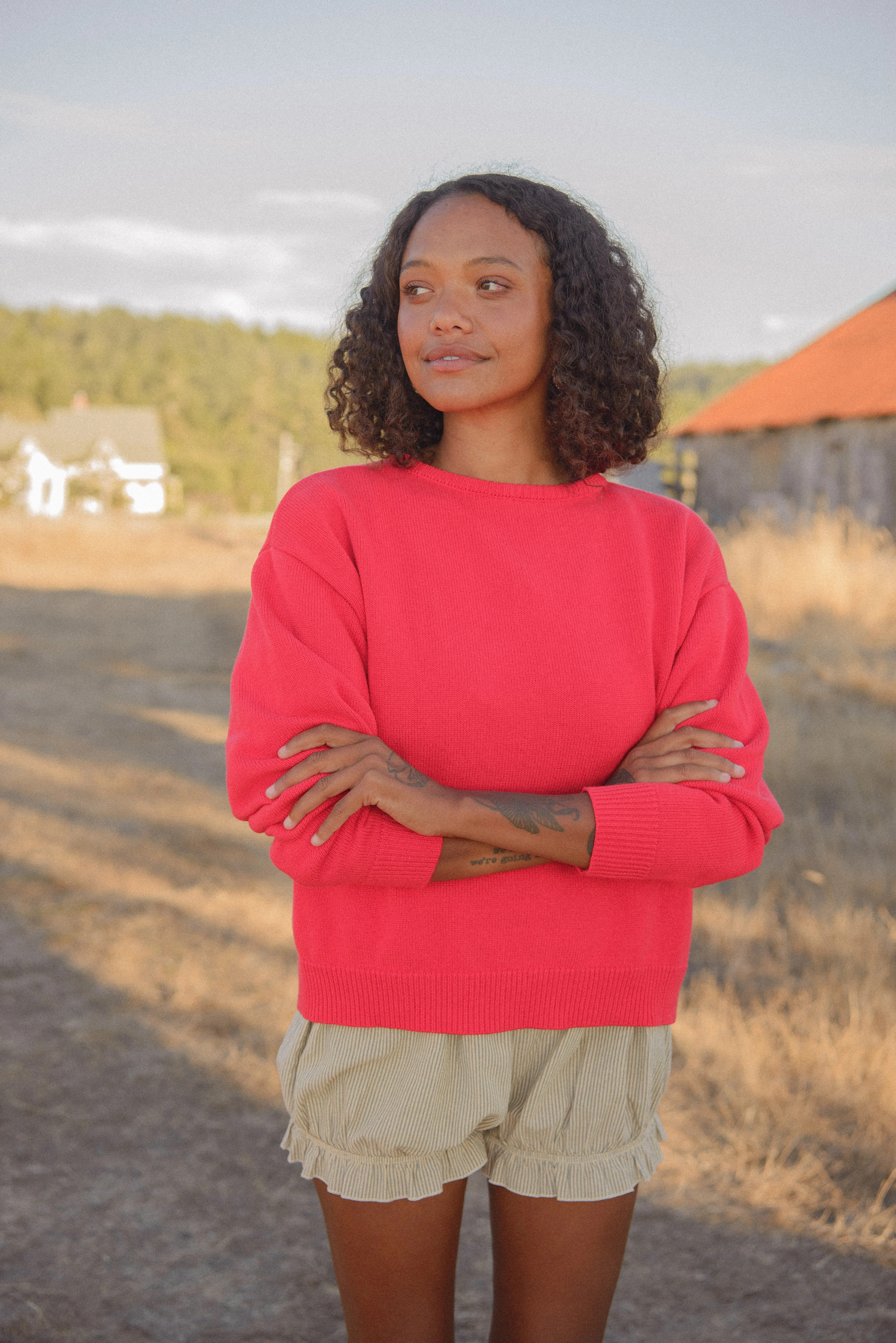 The "I can't believe it's not vintage" Crewneck - Solids | Sonderhaus