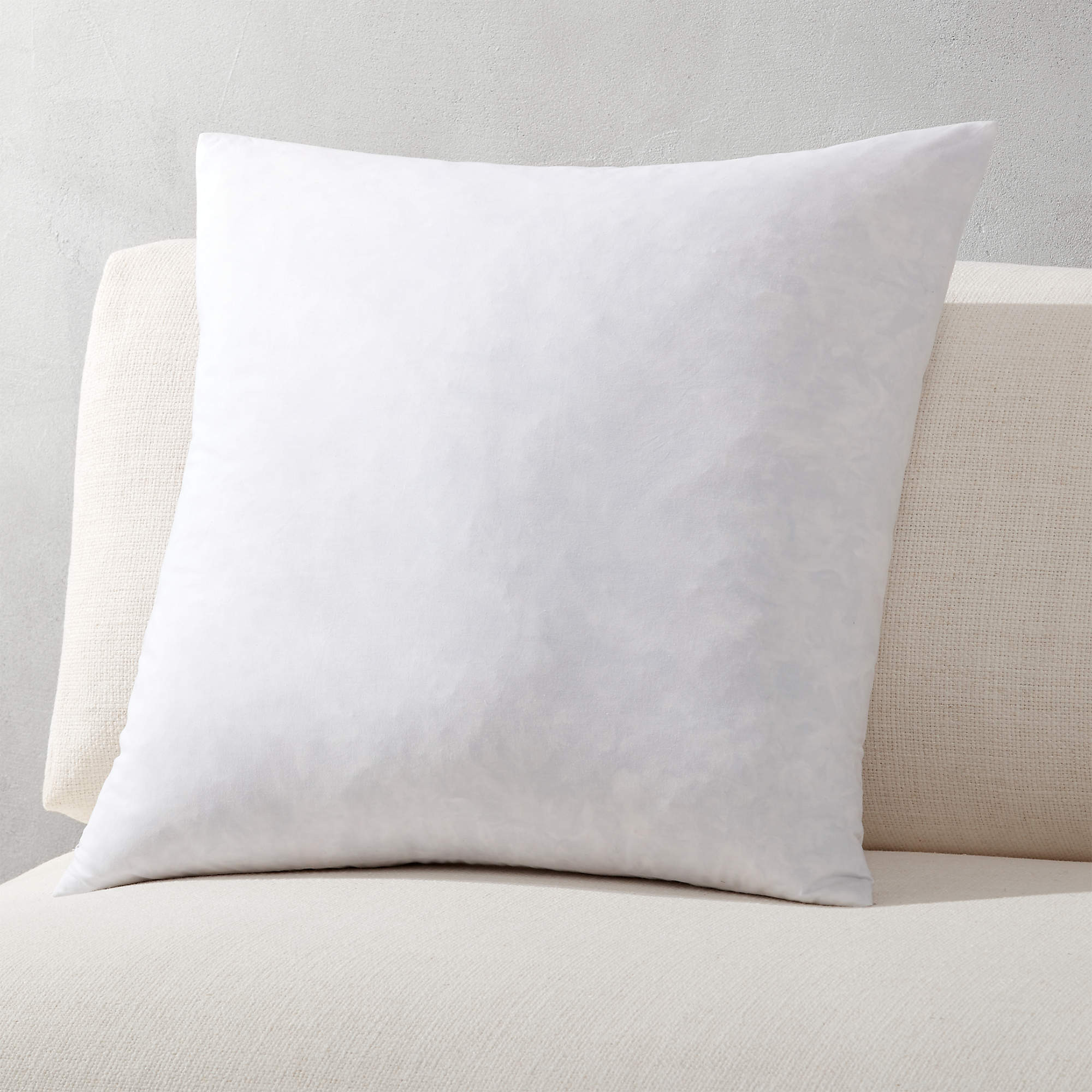 Feather-Down Throw Pillow Insert 20"x20" + Reviews | CB2 | CB2
