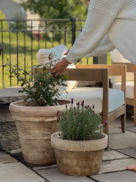 Aged terracotta pots

Using garden lime mixed with water to create a batter, paint over terracotta planters for an old world look.

Plants featured here:
David Austin Desmonda rose
Spanish lavender 

#LTKStyleTip #LTKSeasonal #LTKHome